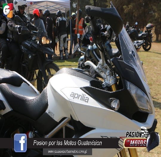 MOTOPOKER EDICION 14