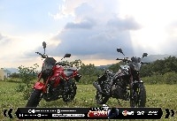 LANZAMIENTO NIPPONIA RONIN 200cc