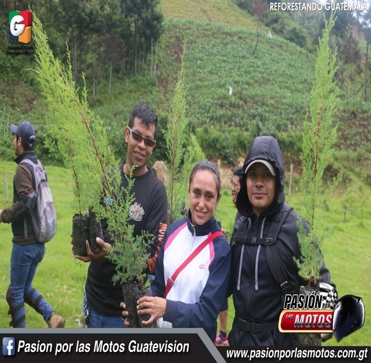 RODADA REFORESTANDO GUATE