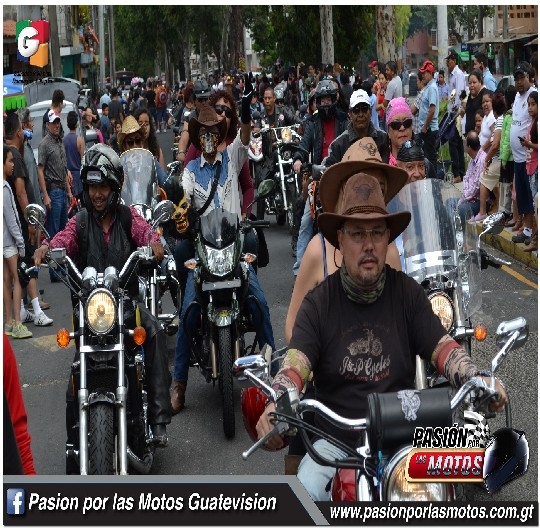 DESFILE HIPICO MOTORIZADO